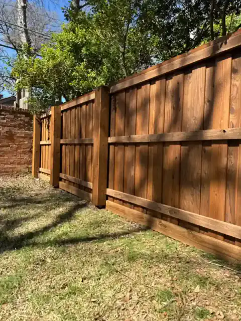 Dark-stained cedar fence follows a shaded backyard edge.