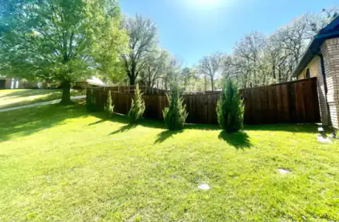 Cedar privacy fence borders a broad sunny lawn.