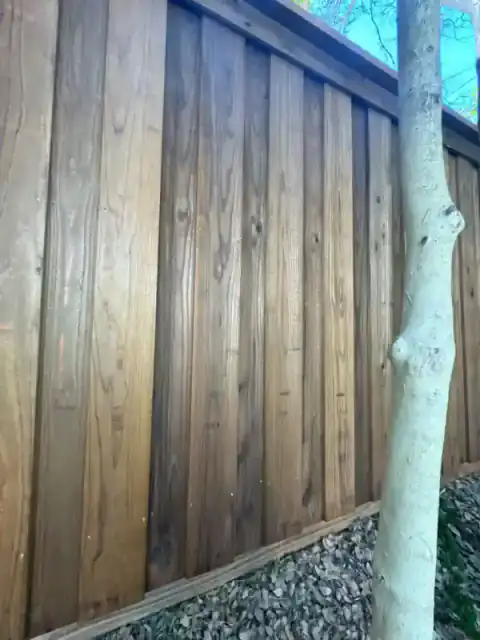 Cedar fence and gate enclosing a green residential yard